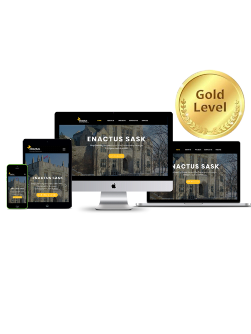 Business Class Customized Website Design Blueprint