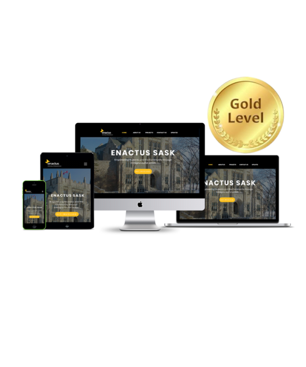 Business Class Customized Website Design Blueprint